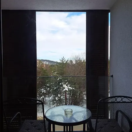 Apartment Divcibor 23 *